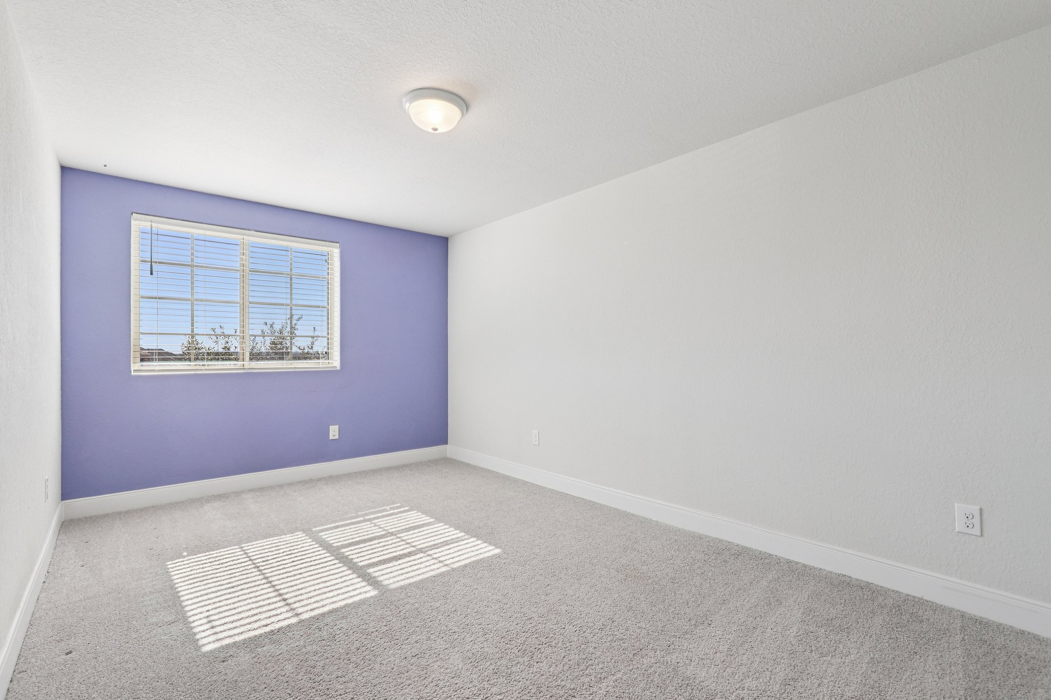 Twister Ln-S1601-043.jpg