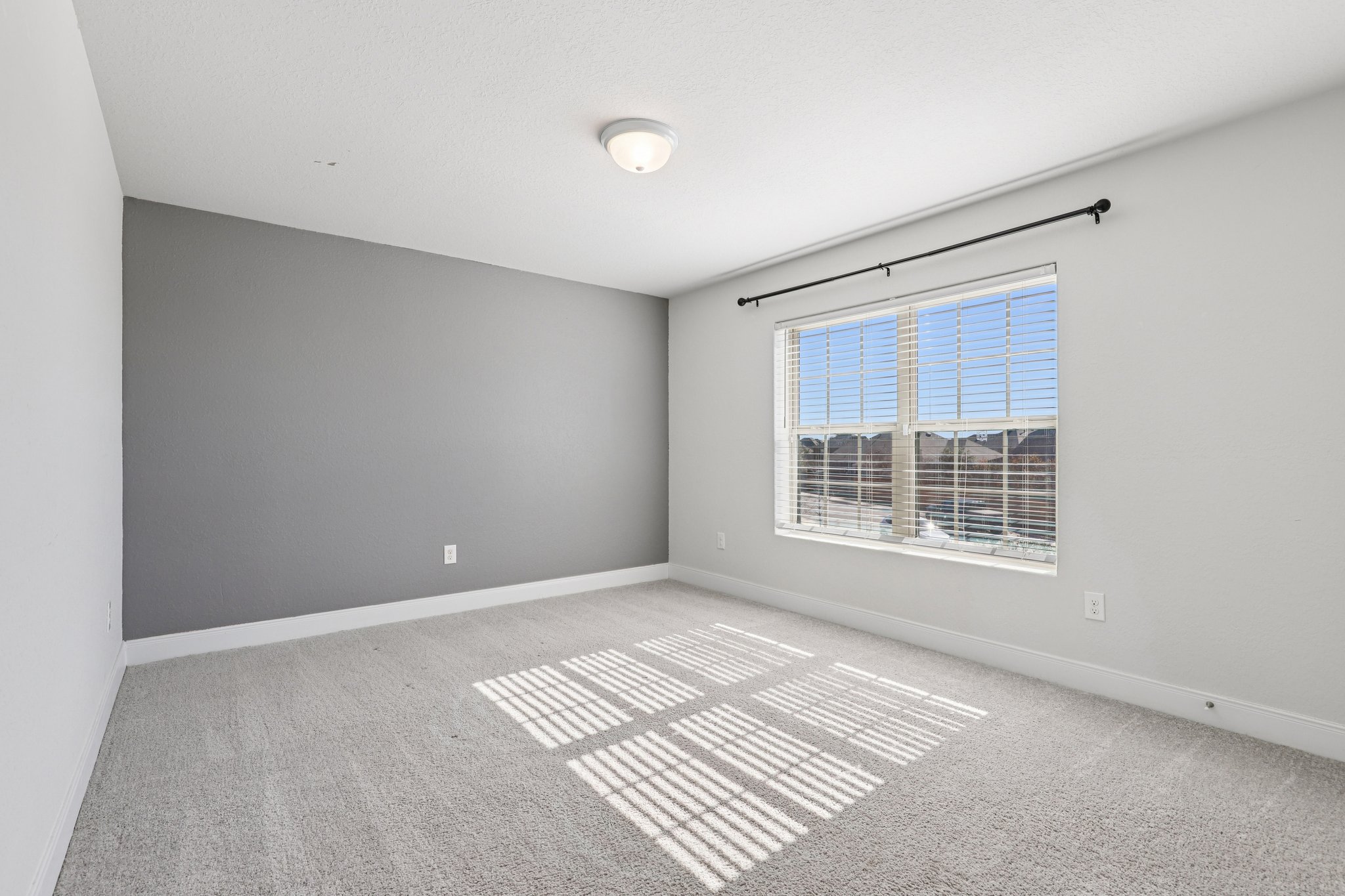 Twister Ln-S1601-046.jpg