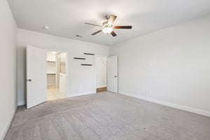 Twister Ln-S1601-029.jpg