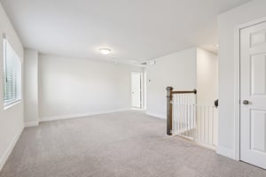 Twister Ln-S1601-036.jpg