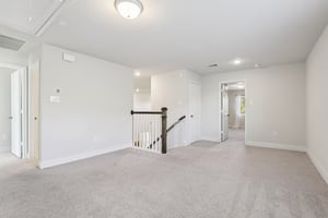 Twister Ln-S1601-037.jpg