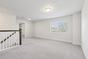 Twister Ln-S1601-038.jpg