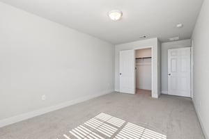 Twister Ln-S1601-045.jpg