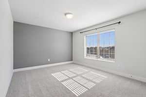 Twister Ln-S1601-046.jpg