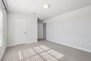 Twister Ln-S1601-047.jpg