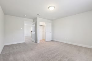 Twister Ln-S1601-049.jpg