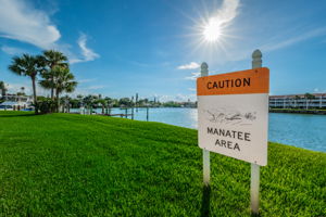 56-Capri Harbor South Common Area