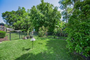 Fenced Backyard2