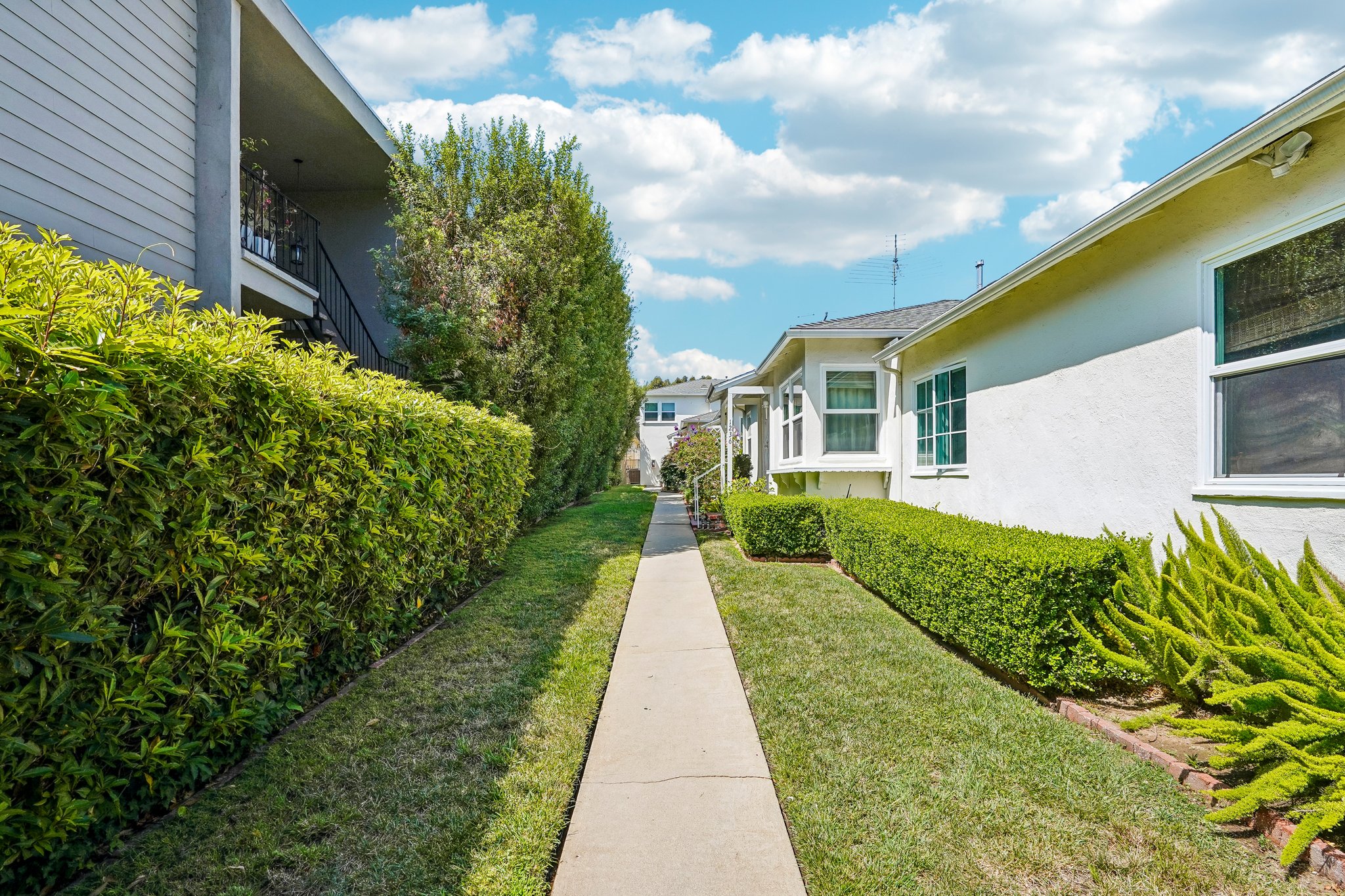 Franklin St C-S1206-001.jpg