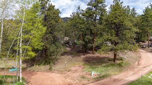  Photo 0