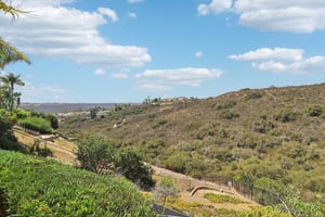 Dormouse Rd-L0509-051.jpg