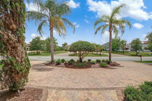 Palmed Lined Paver Driveway
