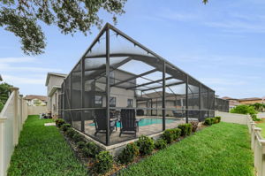 Backyard 2