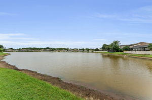 Backyard View 1
