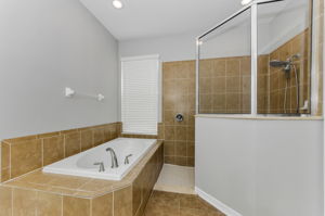 Lower Level Master Bathroom 2a
