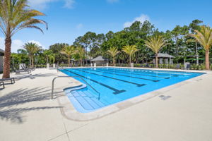 Jr. Olympic Pool