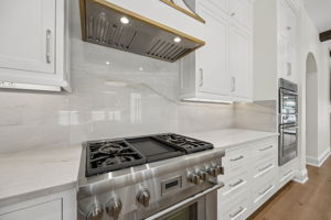 Professional Gas Stove