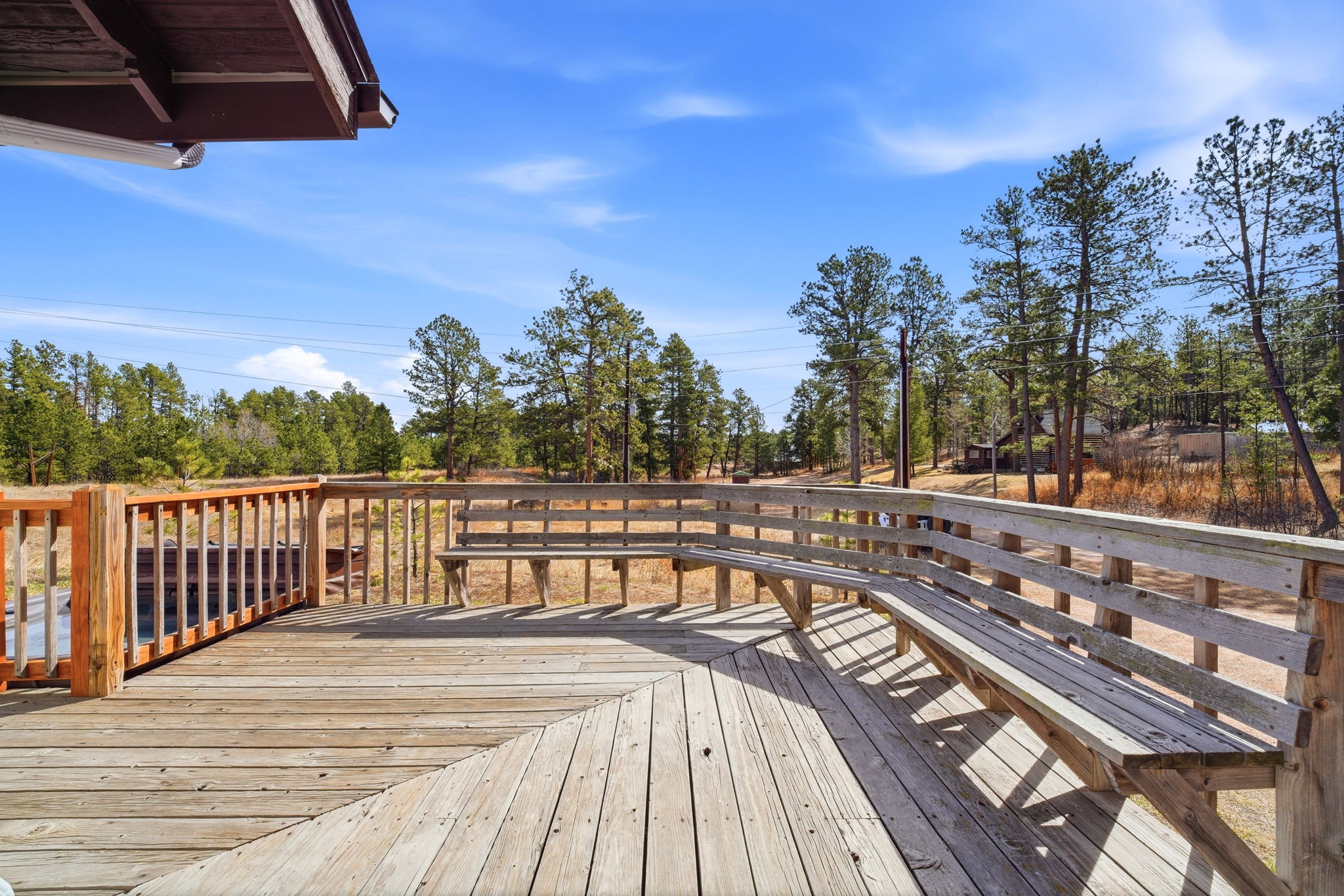 DPB07513