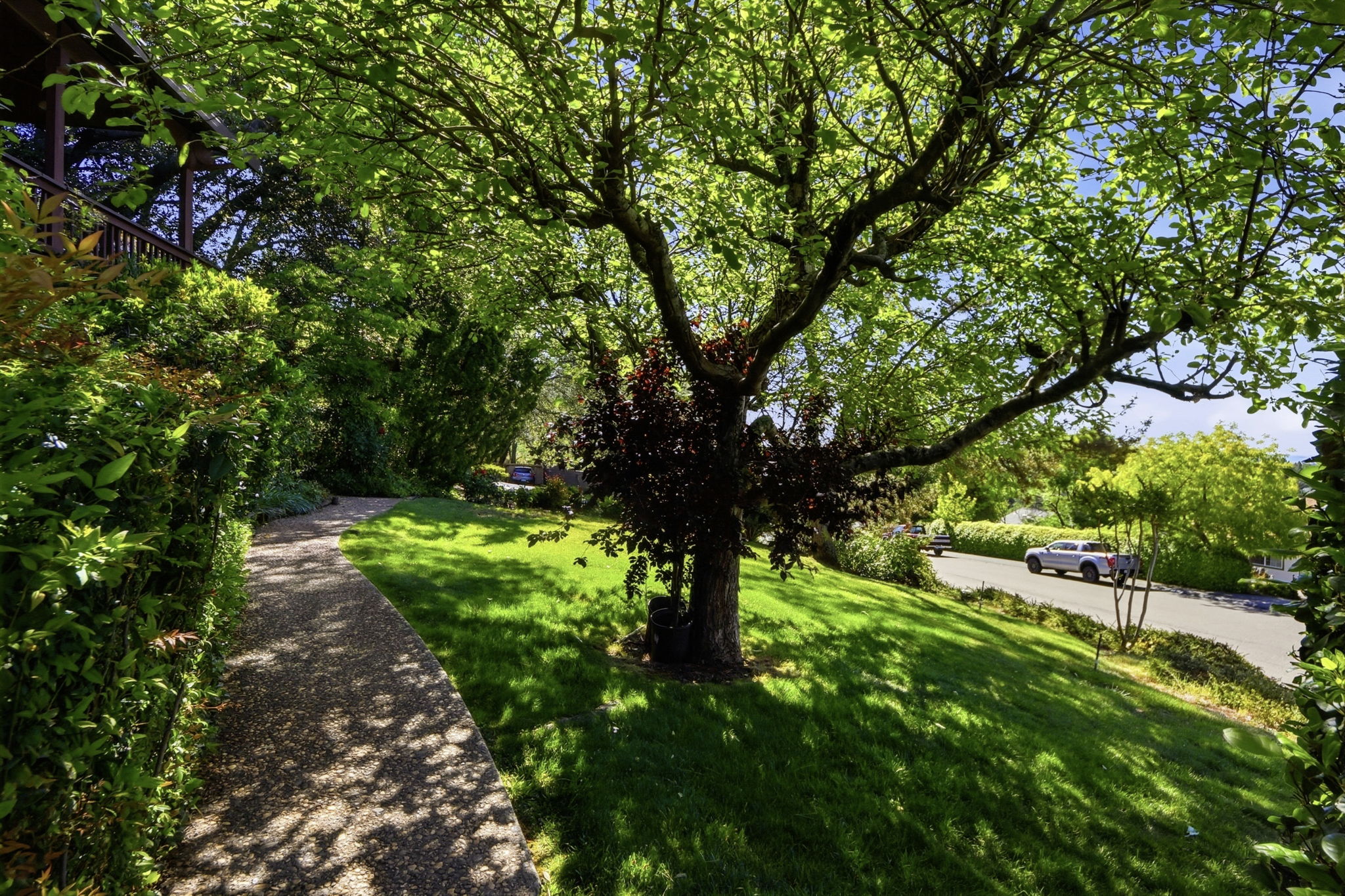 043_F8_12387 Incline Dr