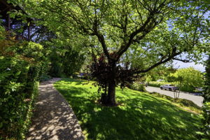 043_F8_12387 Incline Dr