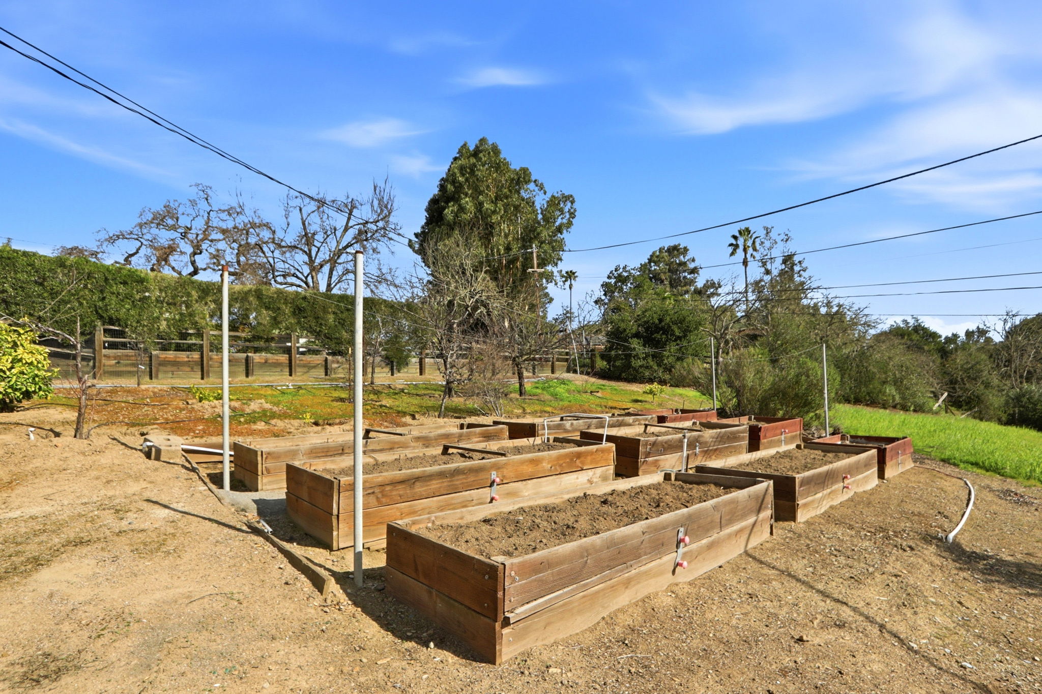 Main House Backyard Garden