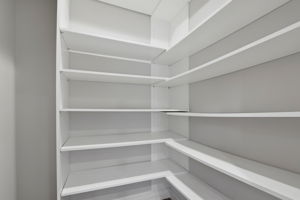 ADU Main Level Kitchen Pantry