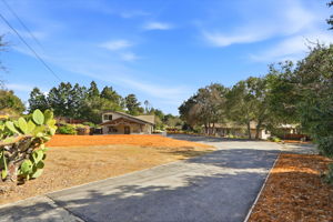 Driveway to Main House and ADU