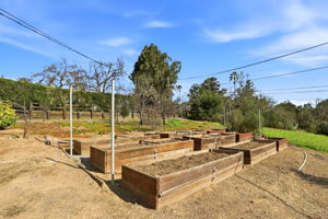 Main House Backyard Garden