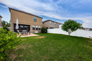 Backyard5