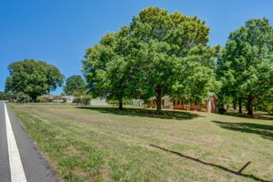 Front Yard