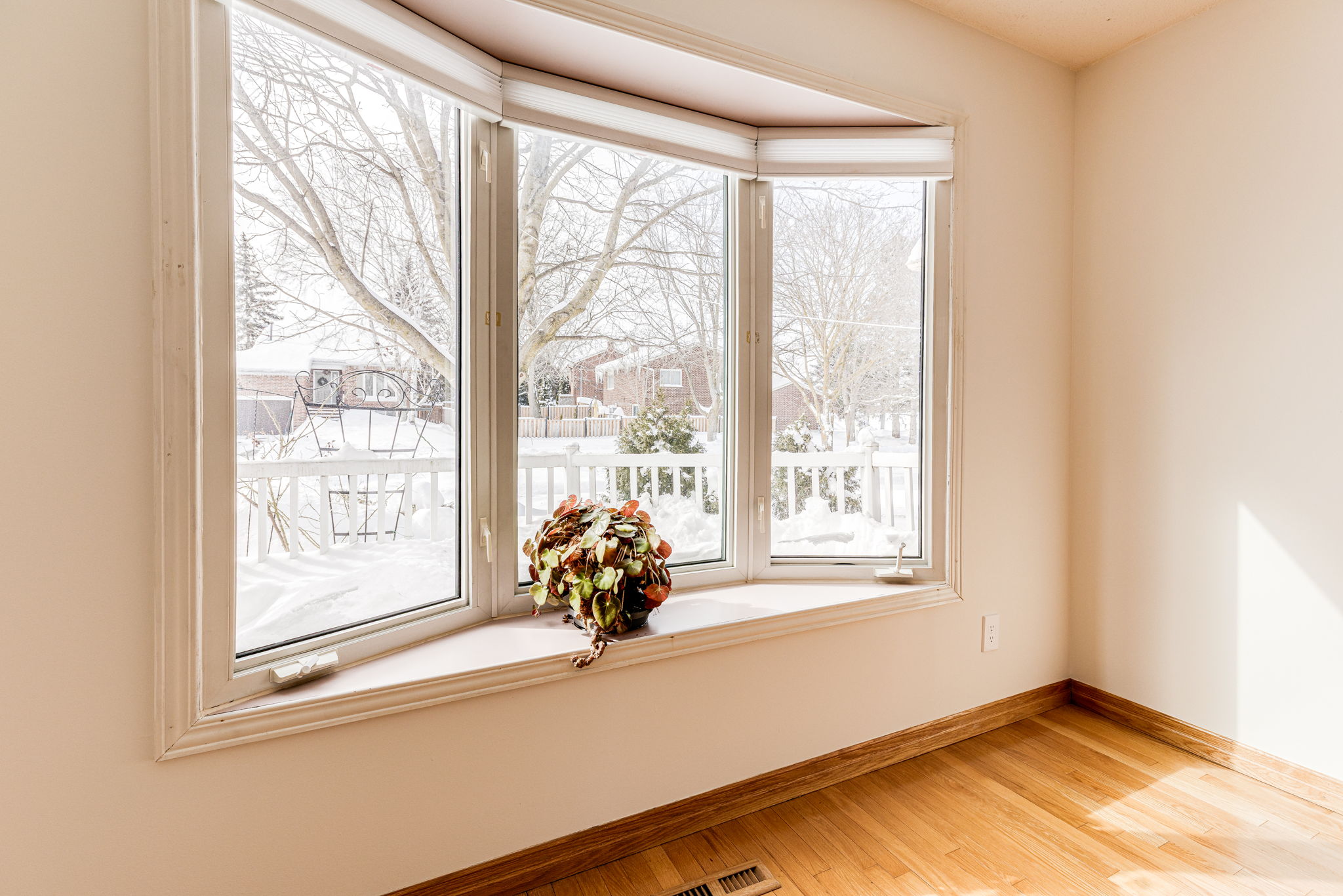 Newmarket property showcase — delivered property photograph 10