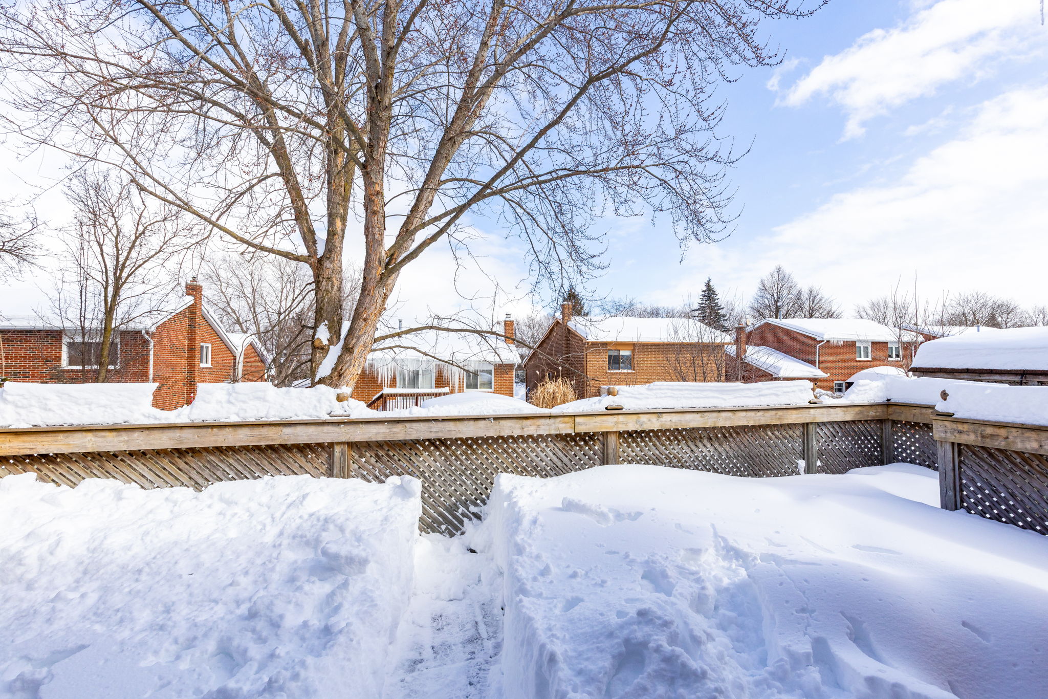 Newmarket property showcase — delivered property photograph 37