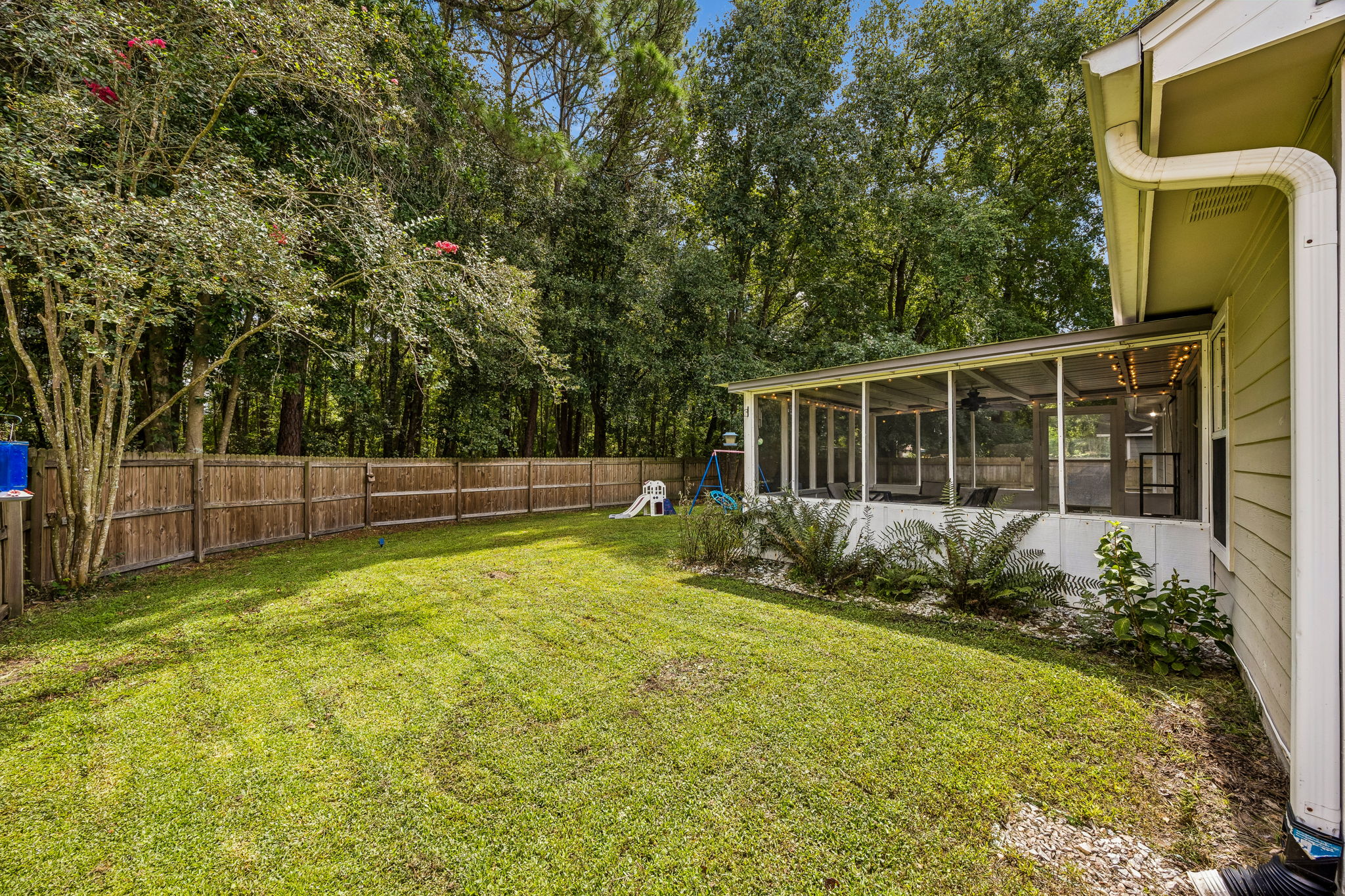Backyard
