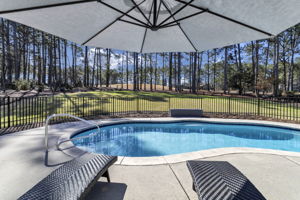 Imagine this view as you relax by the pool. See next photo for full summer back lawn.