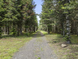  Photo 52