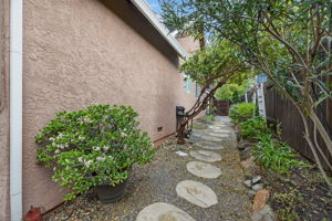  Photo 47
