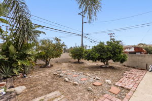  Photo 30