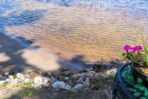 Photo 39