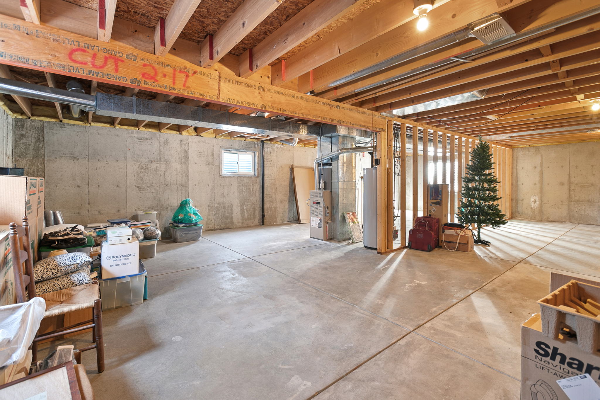 1240 Westwood Dr, Windsor, CO 80550, USA Photo 16