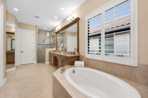 Master Bathroom - View 1