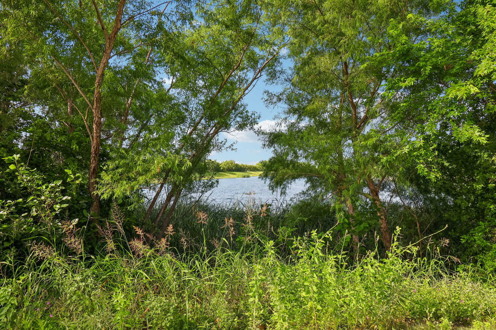  Photo 49
