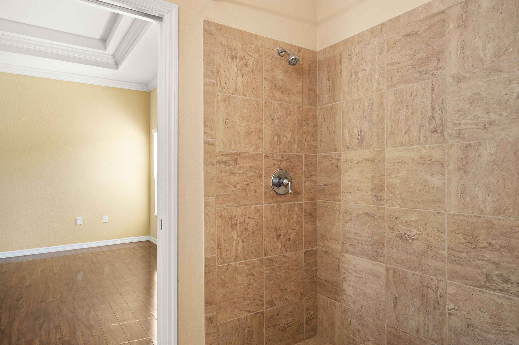 Walk-In Shower In Primary Bath