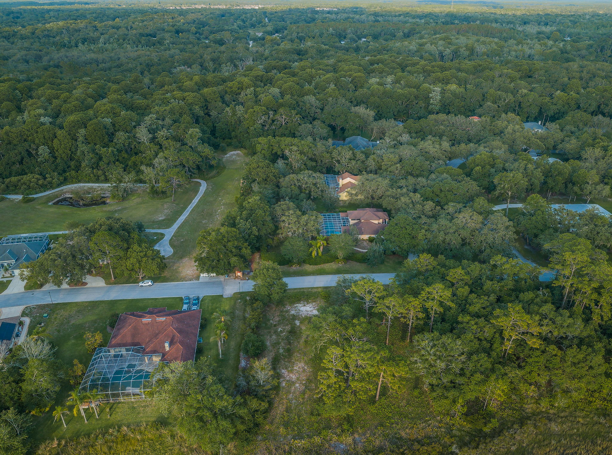 12411 Quail Ridge Dr, Spring Hill, FL 34610 YourDigitalPro, Inc