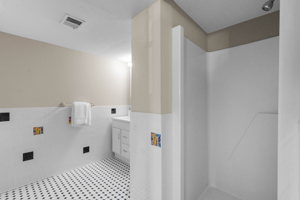 Lower Level Bathroom
