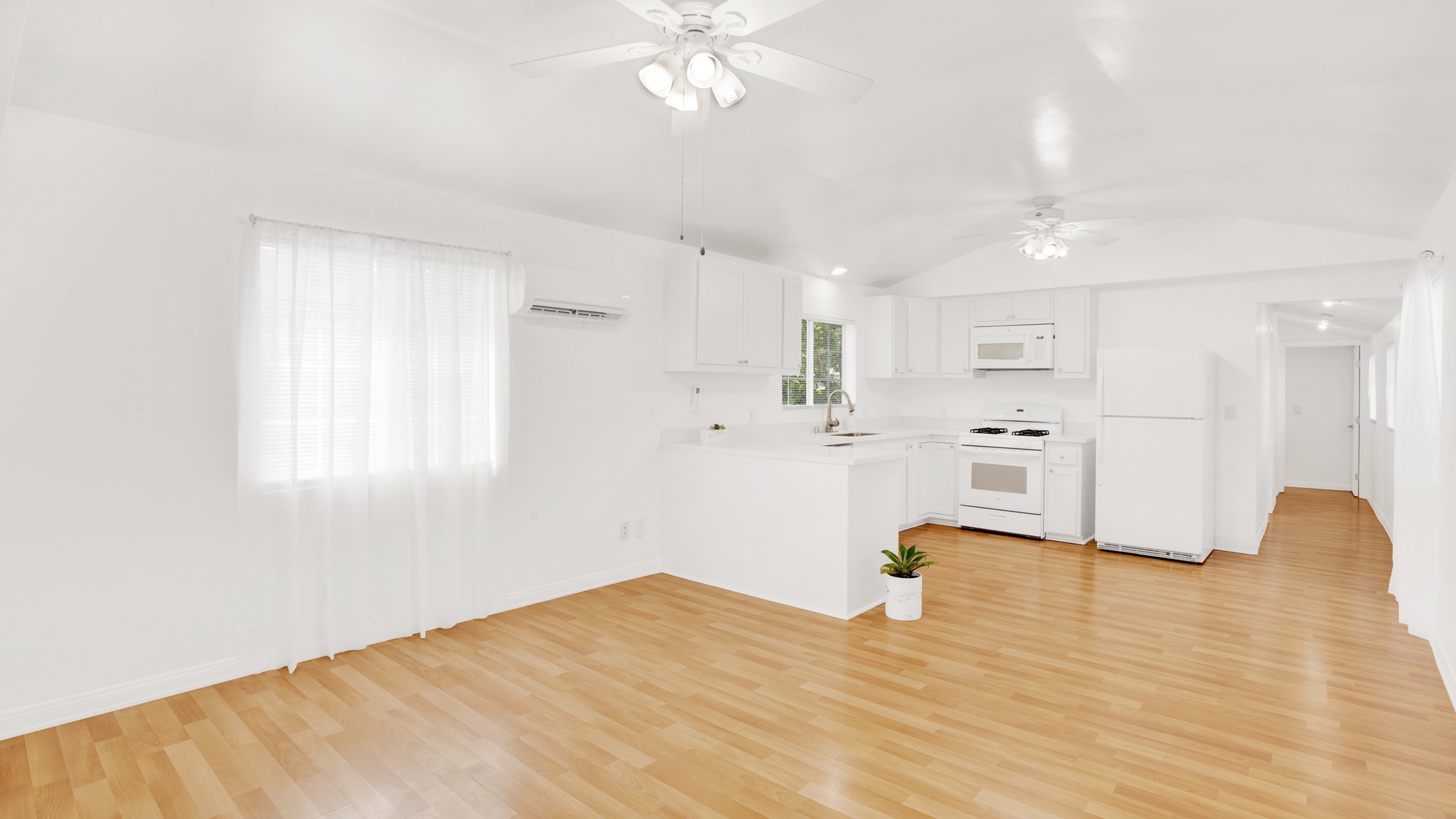 Dining Room/Kitchen/Hallway