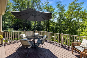 Deck Overlooking Acres of Parkland