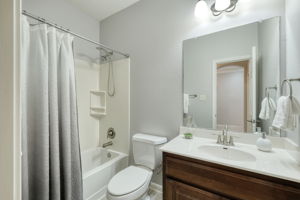 Hall Bathroom