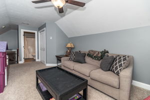 Bedroom 5/Bonus Room
