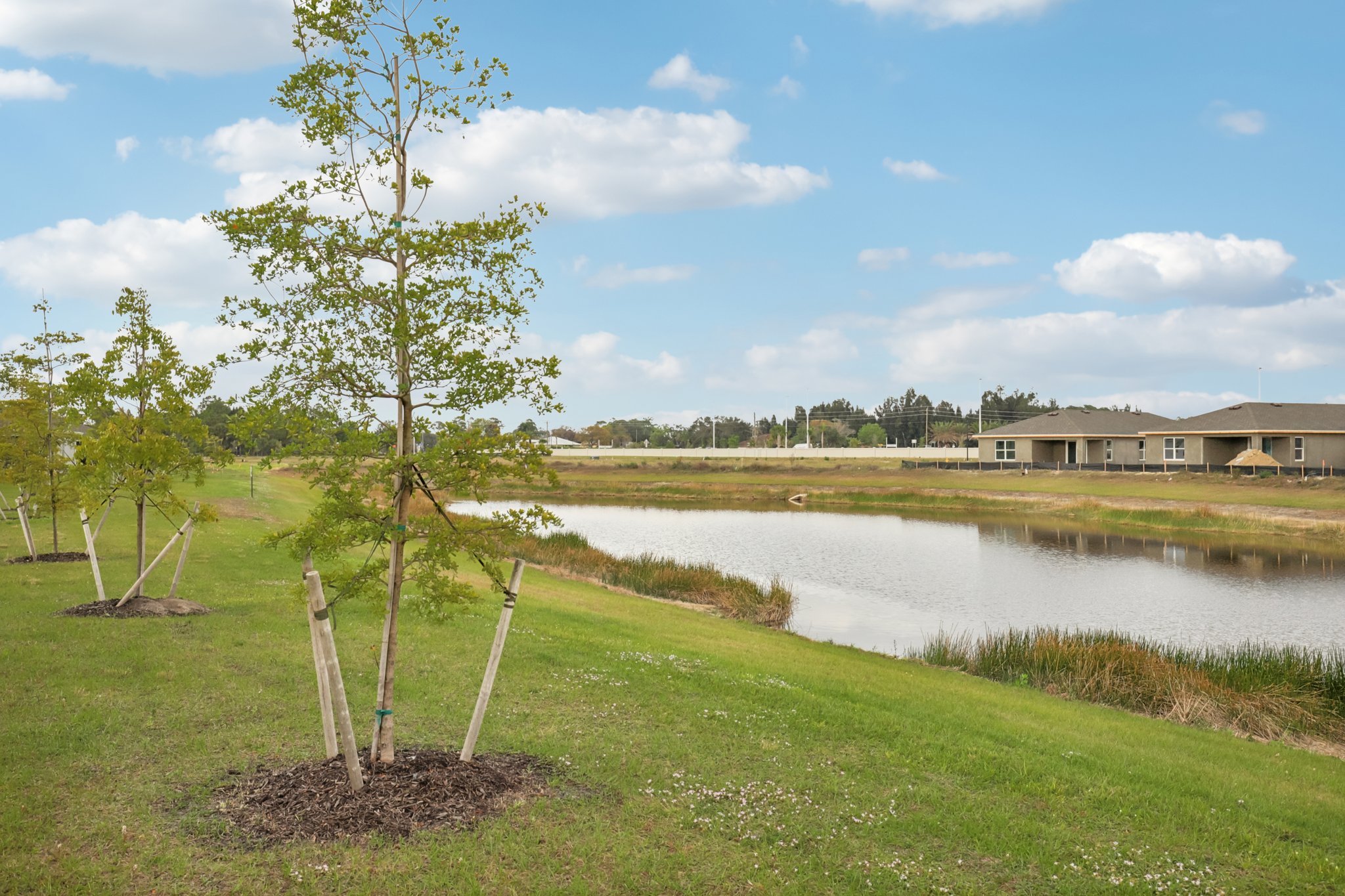 Brumfield Xing-S1401-044.jpg