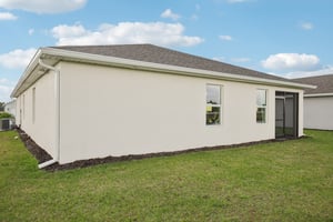 Brumfield Xing-S1401-041.jpg